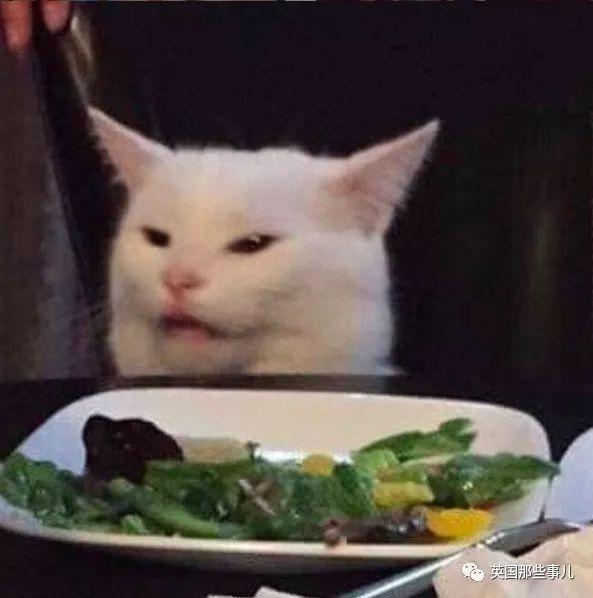 156722379897176720_620_1000.JPEG
