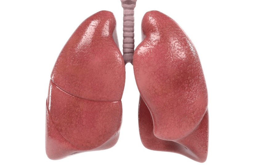 肺部不好的人,身体会出现4个异常,若没有,说明你的肺还算不错