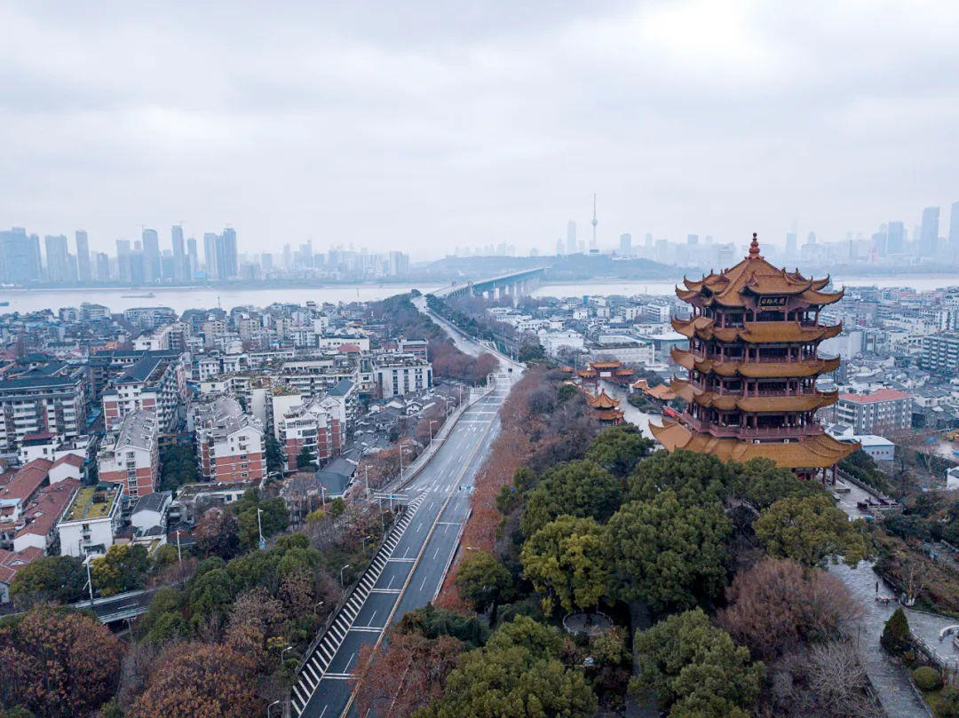 武汉"封城"前都做了什么?1月20日很特别,中央做出重大