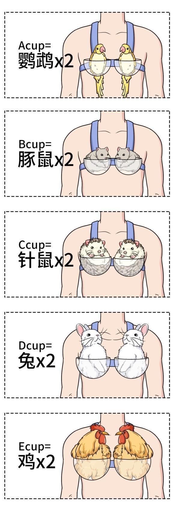 女人胸部长毛毛有没有问题?15条女性生理知识,男女都该知道