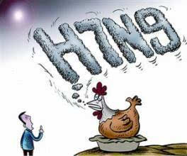 南京发现一人感染H7N9禽流感 相关部门迅速部