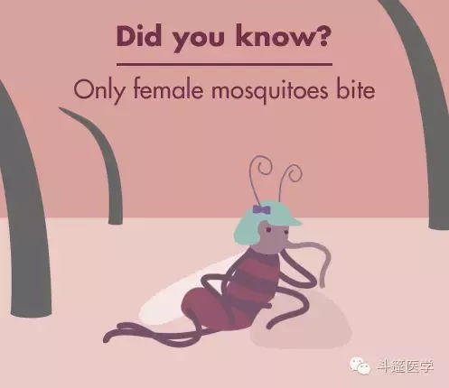 防蚊方法大全：夏日对付蚊子最毒招数