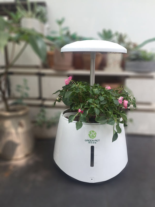 一键智懒人生美女绿宠,送给福利的植物-3生活照长机打包图片
