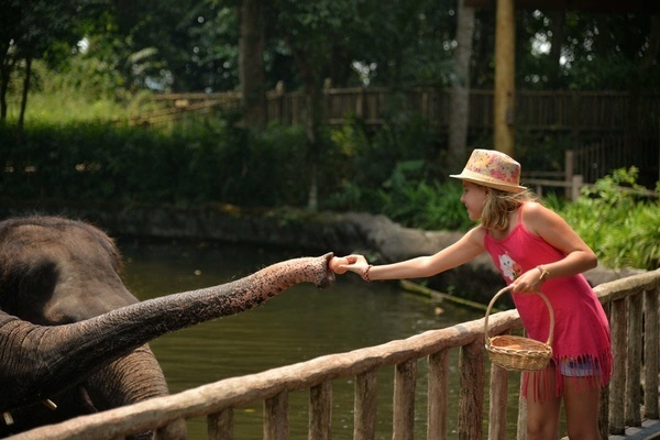 新加坡动物园,让你和动物走的更近【夏天这么
