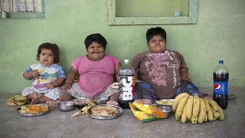 印度政府征收脂肪税应对国民肥胖 - 3023.co