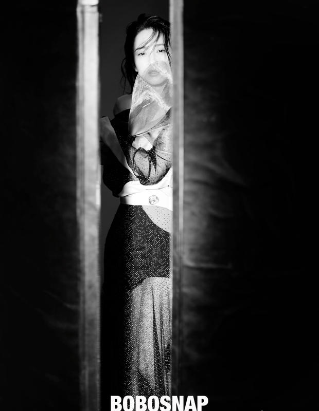 佟丽娅写真大片曝光 薄纱裙装勾勒线条显朦胧神秘(图9)