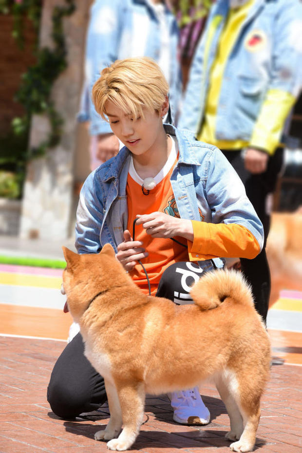 鹿晗再次放飞自我大胆自黑：我是DJ刘壮实！(图4)