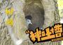 神吐槽树洞：一吵架就不同房 这日子怎么过