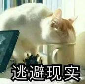 神吐槽树洞:怕他出轨总想查他手机 算有病吗?