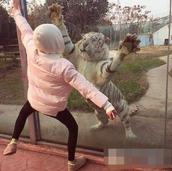 神吐槽树洞:怕他出轨总想查他手机 算有病吗?