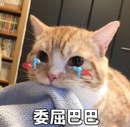 卧槽周刊：平生第一次经历 什么叫无路可走图片