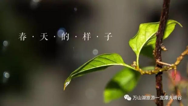 【龙潭大峡谷&荆紫仙山】靓丽女神节，最美特权日！