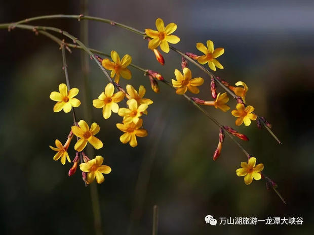 【龙潭大峡谷&荆紫仙山】靓丽女神节，最美特权日！