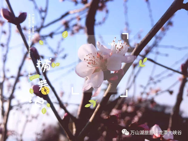【龙潭大峡谷&荆紫仙山】靓丽女神节，最美特权日！