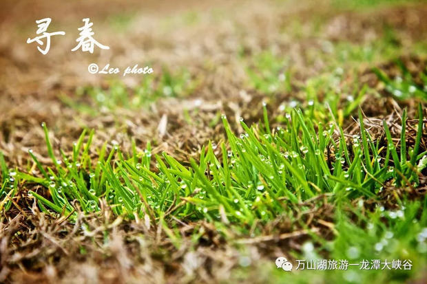 【龙潭大峡谷&荆紫仙山】靓丽女神节，最美特权日！
