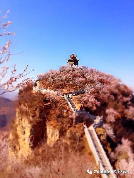 【龙潭大峡谷&荆紫仙山】靓丽女神节，最美特权日！