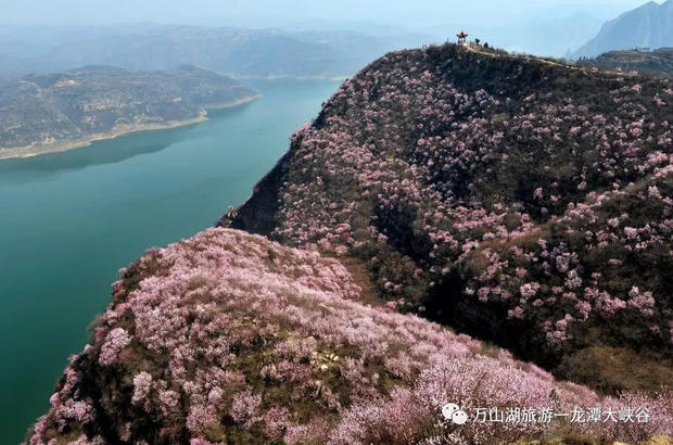【龙潭大峡谷&荆紫仙山】靓丽女神节，最美特权日！