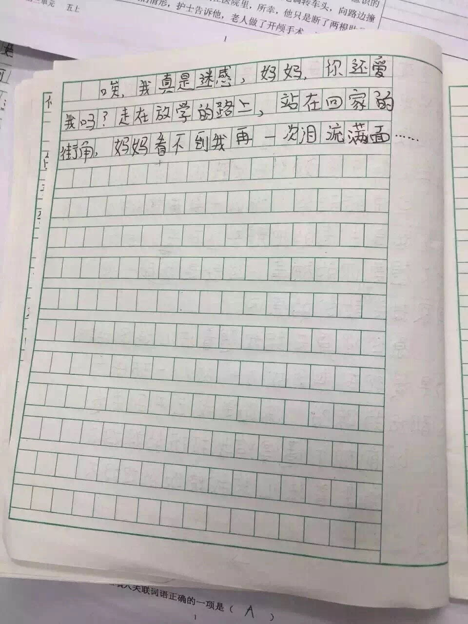 我选她作文450字