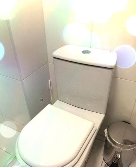 不仅打乒乓球厉害 福原爱还会修奥运村厕所 - 