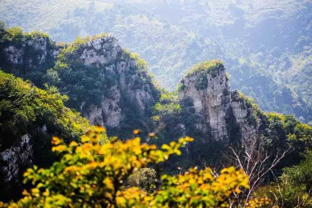 蒋福山自然风景区风光秀美,杨,柳,榆,槐,椿,松,柏等树种齐全,成林成片