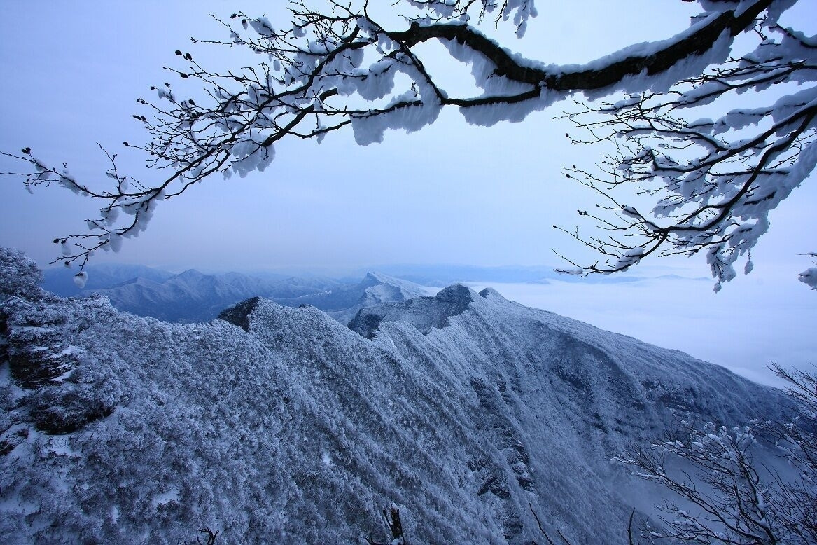 光雾山旅游揽金6.2亿 看过红叶还可览冰挂