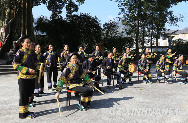 11月20日,黔西南兴义市纳灰村的布依族老人在大榕树下表演"八音坐唱.