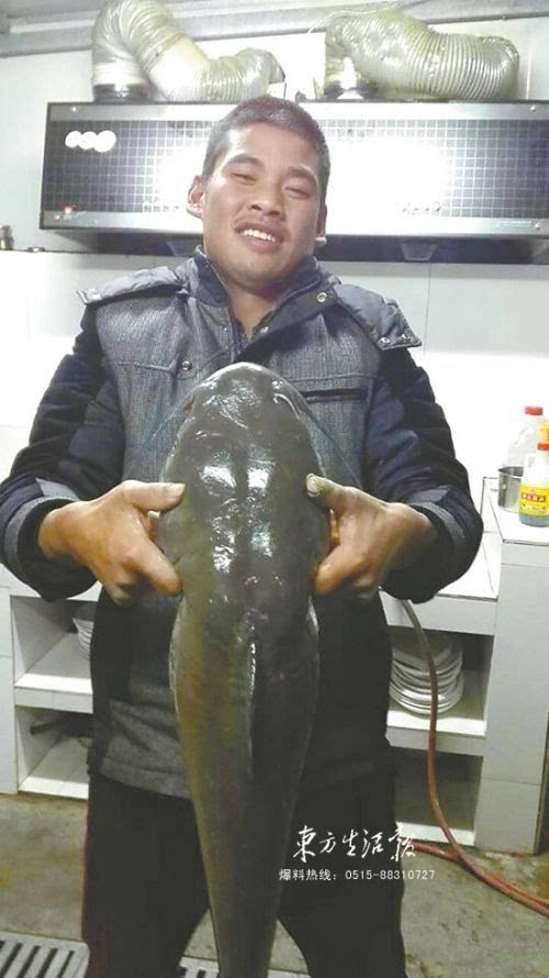 小伙夜钓一条1355公斤大鮰鱼