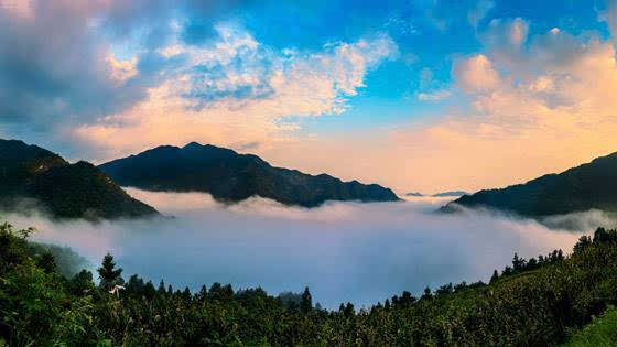 11月21日,"美丽中国·生态科考"首站探秘佛顶山自然保护区大型综合