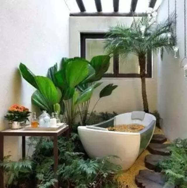 把浴室设计出花园feel