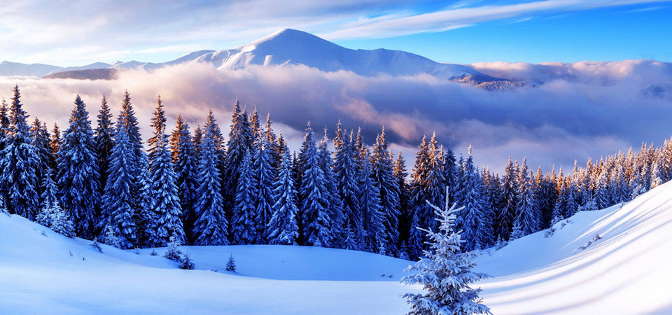 林海雪原 雪山风景 冬天的图片 风景桌面壁纸