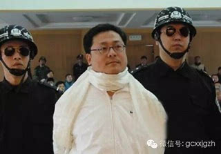 宣读的终审判决书中说,袁宝瓃因炒期货受损而与袁宝琦雇凶枪击刘汉