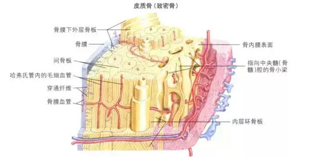 一个鬼被红绳绑着双腿猜成语_看图猜成语