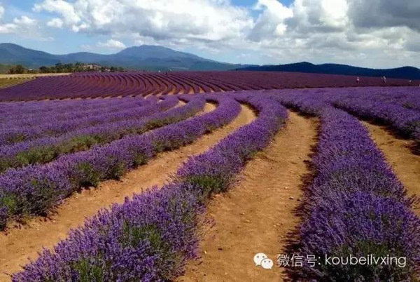 澳洲季节