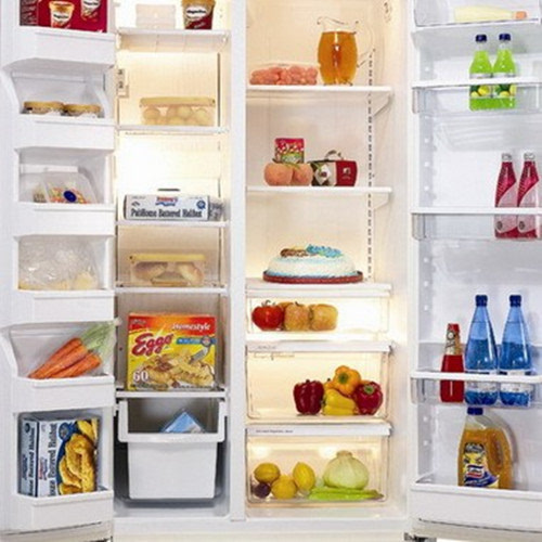 冰箱内物品存放过量_冰箱存放环境适宜温度_冰箱内食物存放量