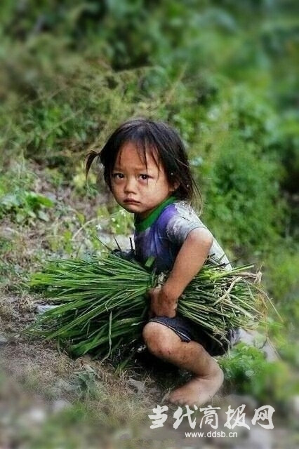 4岁女孩赤脚割草全身污泥 网友叹:穷人的孩子