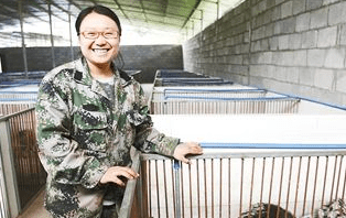 工程师辞职养豪猪 豪猪养殖合作社收入已突破了1000万元