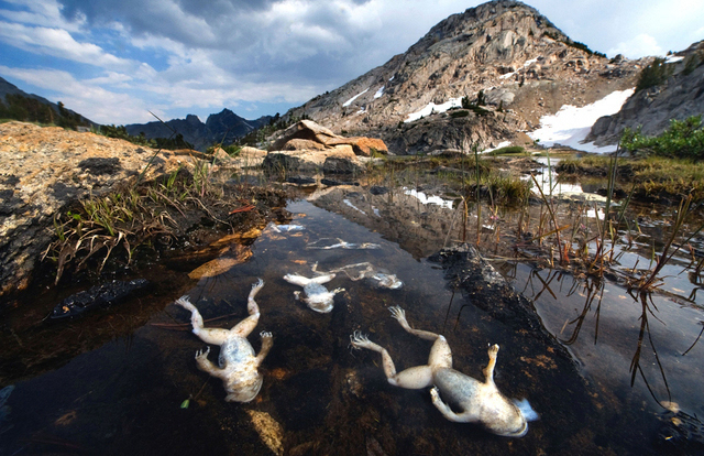 地球之殇:超震撼图片透视环境污染