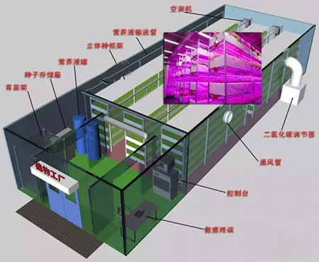 led照明与植物工厂的那些事