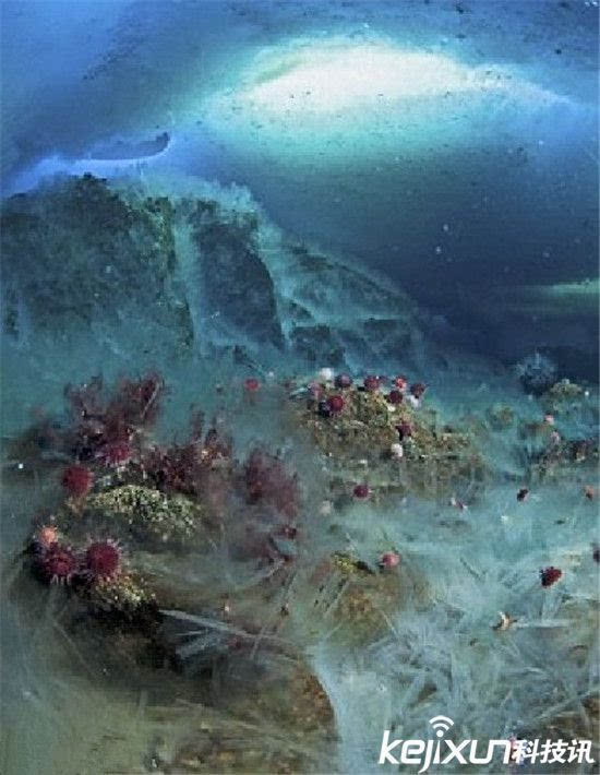 未解之谜:南极恐怖杀手 海洋死亡冰柱