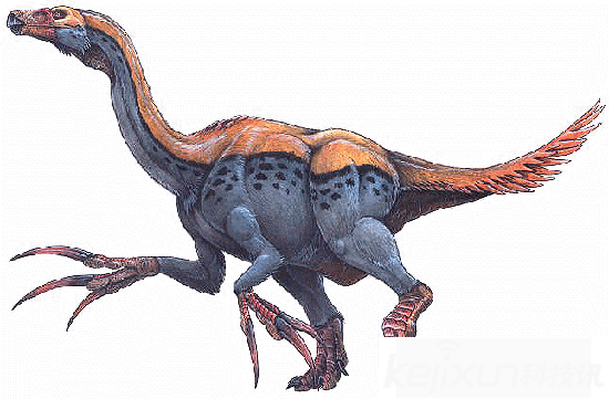 世界上最大的利爪的恐龙:镰刀龙