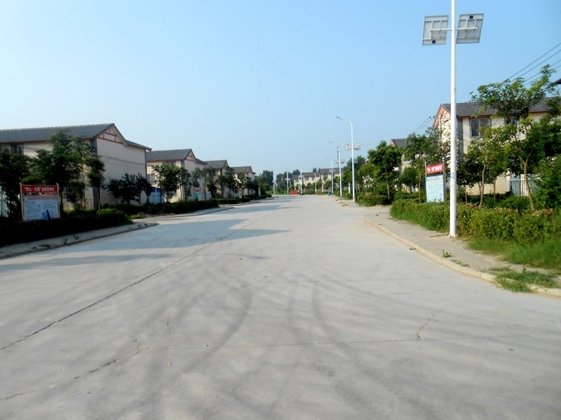 水稻乡马头新型农村社区街道