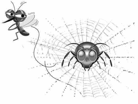 网友求驱蚊得养蜘蛛驱蚊法 招蚊子叮和血型无关系