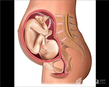 胎儿真的会在子宫内哭 怀孕须知孕期胎儿最害怕的九件