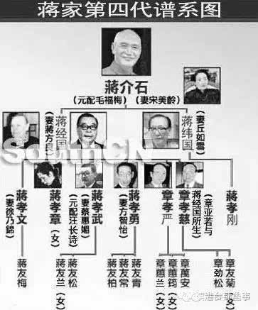 蒋家第四代崛起 蒋介石曾孙蒋万安勇闯台湾政坛