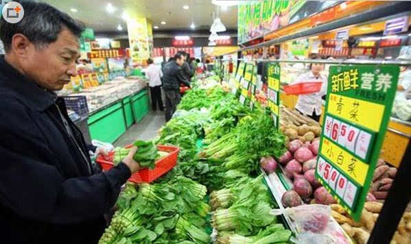 菜价逆天50元一斤 青菜比肉还贵原因大揭秘 网