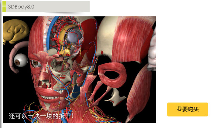 3dbody:一款严肃的人体解析 app(胆小慎入