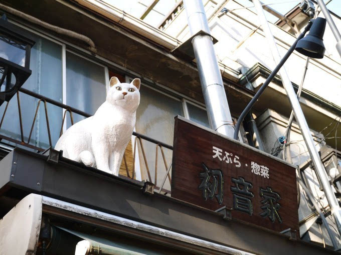 盘点:猫咪带动当地旅游的日本猫街