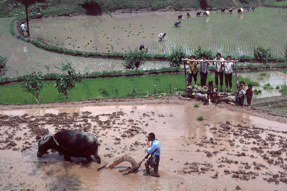 八十年代的中国农村