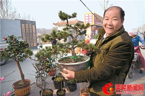 天气转暖莱芜市花木市场交易已开始升温