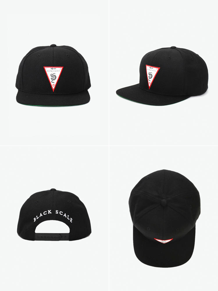 Black Scale Etymology Snapback 棒球帽